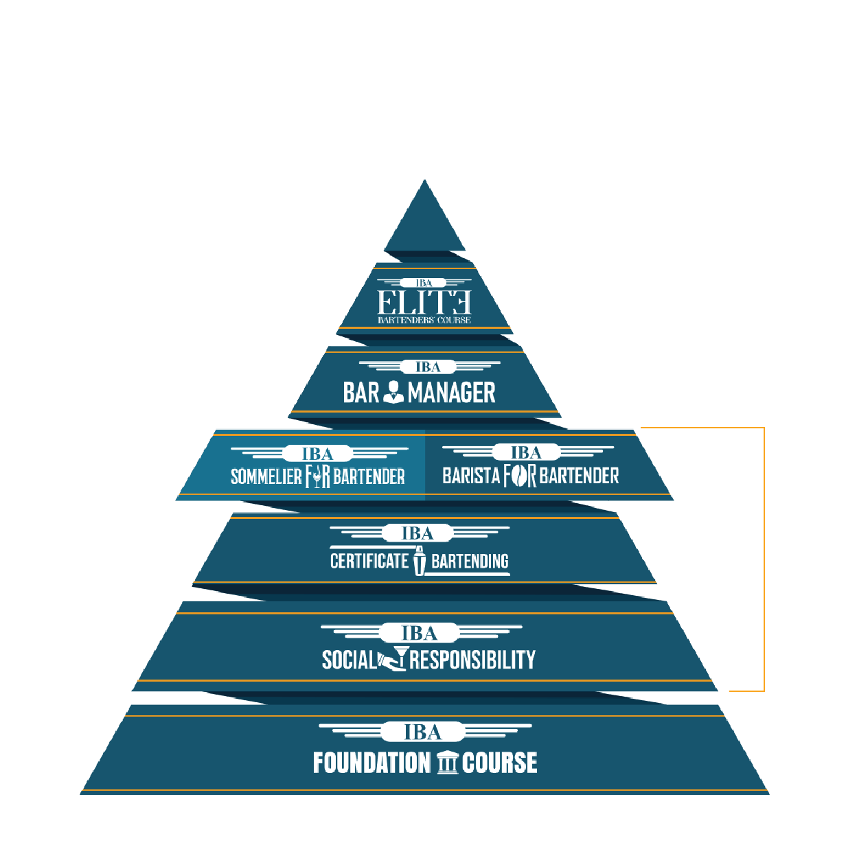 IBA Certification on Origin platform